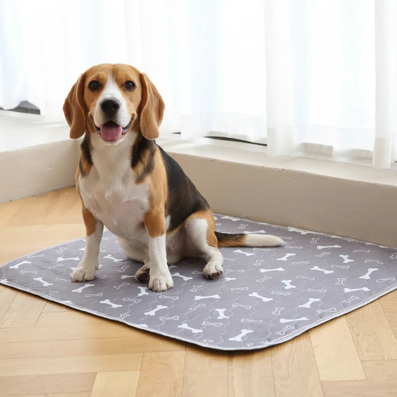 Super Absorbent Reusable Puppy Pee Pad